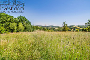 Działka na sprzedaż 3102m2 gorlicki Sękowa - zdjęcie 1