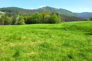 Działka na sprzedaż 1052m2 żywiecki Ujsoły Soblówka - zdjęcie 1