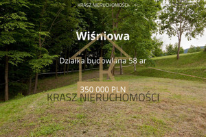 Działka na sprzedaż 5800m2 myślenicki Wiśniowa - zdjęcie 1