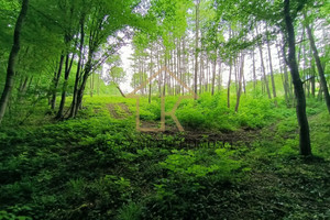 Działka na sprzedaż 5800m2 myślenicki Wiśniowa - zdjęcie 3