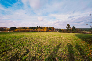 Działka na sprzedaż 18520m2 zawierciański Ogrodzieniec Kiełkowice Starowiejska - zdjęcie 2