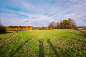 Działka na sprzedaż 18520m2 zawierciański Ogrodzieniec Kiełkowice Starowiejska - zdjęcie 1