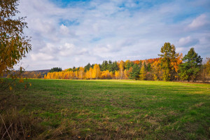 Działka na sprzedaż 18520m2 zawierciański Ogrodzieniec Kiełkowice Starowiejska - zdjęcie 3