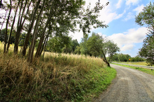 Działka na sprzedaż 2600m2 krakowski Zabierzów Rząska - zdjęcie 3