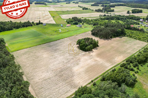 Działka na sprzedaż 1000m2 trzebnicki Zawonia Niedary Kamienna - zdjęcie 2