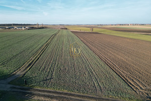 Działka na sprzedaż 19000m2 jaworski Wądroże Wielkie Budziszów Wielki - zdjęcie 2