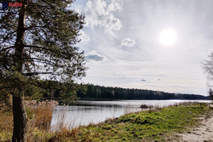 Działka na sprzedaż 6970m2 myszkowski Żarki Jaworznik - zdjęcie 4