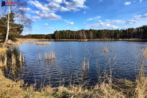 Działka na sprzedaż 6970m2 myszkowski Żarki Jaworznik - zdjęcie 3