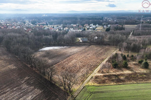 Działka na sprzedaż 54000m2 tarnowski Wierzchosławice - zdjęcie 3