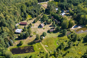 Komercyjne na sprzedaż 48261m2 miński Dobre Kąty-Borucza - zdjęcie 1