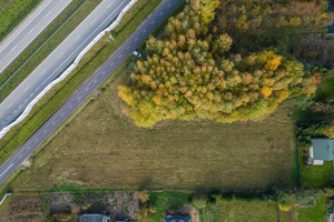 Działka na sprzedaż 8107m2 grodziski Żabia Wola - zdjęcie 1