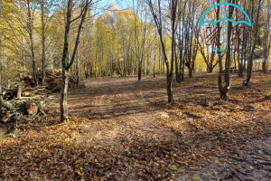 Działka na sprzedaż gdański Przywidz Marszewska Kolonia - zdjęcie 1