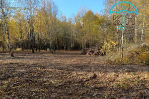 Działka na sprzedaż gdański Przywidz Marszewska Kolonia - zdjęcie 3