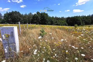 Działka na sprzedaż 600m2 szamotulski Ostroróg Wielonek - zdjęcie 3