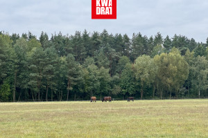 Działka na sprzedaż otwocki Osieck Brzozowej Polany - zdjęcie 2