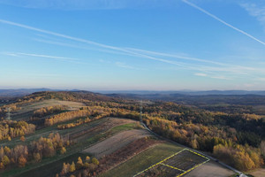 Działka na sprzedaż brzeski Dębno Łysa Góra - zdjęcie 2