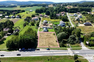 Działka na sprzedaż brzeski Dębno - zdjęcie 3