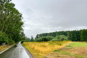 Działka na sprzedaż 2100m2 pabianicki Lutomiersk - zdjęcie 3