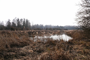 Działka na sprzedaż białostocki Tykocin Rzędziany - zdjęcie 2