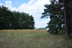 Działka na sprzedaż 2381m2 kartuski Kartuzy Kiełpino Długa - zdjęcie 3