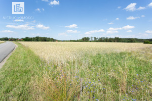 Działka na sprzedaż kartuski Sierakowice Kamienicki Młyn - zdjęcie 3