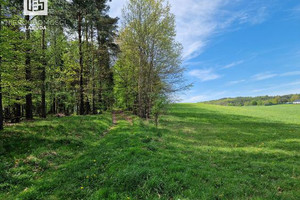 Działka na sprzedaż 1000m2 kartuski Somonino Kaplica - zdjęcie 1