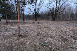 Działka na sprzedaż 1500m2 grodziski Grodzisk Mazowiecki Adamowizna - zdjęcie 3