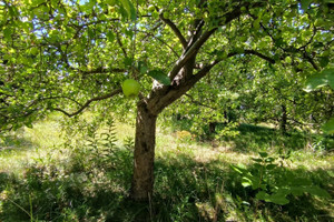 Dom na sprzedaż 53m2 grodziski Baranów Boża Wola - zdjęcie 2