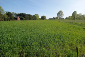 Działka na sprzedaż 1630m2 grodziski Żabia Wola Ojrzanów - zdjęcie 1