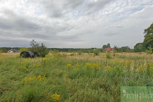 Działka na sprzedaż 3200m2 goleniowski Goleniów Białuń - zdjęcie 4