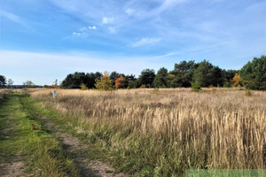 Działka na sprzedaż 2513m2 goleniowski Goleniów Białuń - zdjęcie 2