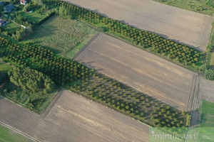 Działka na sprzedaż 1107m2 goleniowski Goleniów Imno - zdjęcie 3