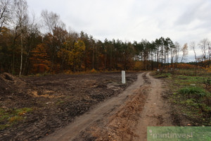 Działka na sprzedaż 900m2 goleniowski Goleniów - zdjęcie 2