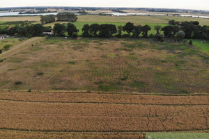 Działka na sprzedaż 900m2 pyrzycki Pyrzyce Giżyn - zdjęcie 3