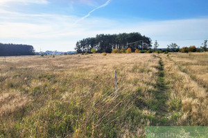 Działka na sprzedaż 2513m2 goleniowski Goleniów Białuń - zdjęcie 1