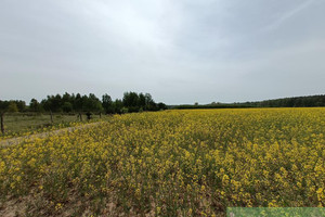 Działka na sprzedaż 1304m2 goleniowski Goleniów Stawno - zdjęcie 2