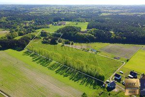 Działka na sprzedaż 10000m2 wejherowski Wejherowo Bieszkowice Wiejska - zdjęcie 1