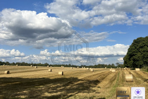 Działka na sprzedaż 2522m2 kościerski Kościerzyna Puc - zdjęcie 3