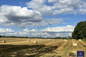 Działka na sprzedaż 2522m2 kościerski Kościerzyna Puc - zdjęcie 3