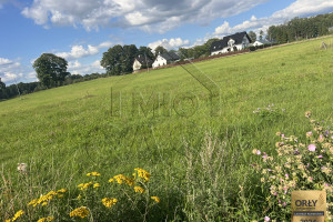 Działka na sprzedaż 2522m2 kościerski Kościerzyna Puc - zdjęcie 2