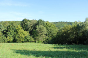 Działka na sprzedaż 5300m2 wielicki Gdów Jaroszówka - zdjęcie 2