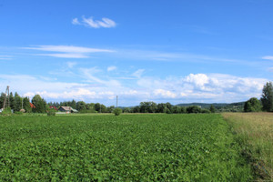 Działka na sprzedaż 1100m2 wielicki Gdów Winiary - zdjęcie 2