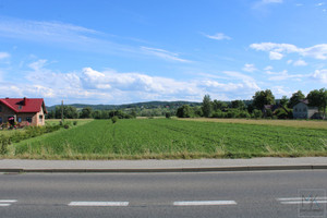 Działka na sprzedaż 7654m2 wielicki Gdów Winiary - zdjęcie 1