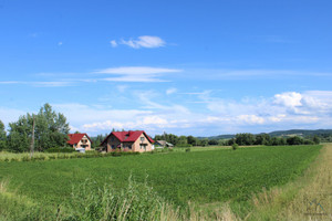 Działka na sprzedaż 1100m2 wielicki Gdów Winiary - zdjęcie 1