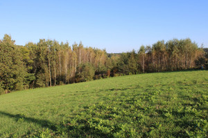 Działka na sprzedaż 1500m2 wielicki Wieliczka Raciborsko - zdjęcie 1