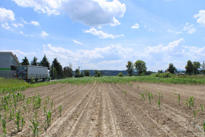 Działka na sprzedaż 13800m2 wielicki Gdów - zdjęcie 3