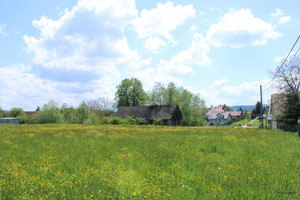 Działka na sprzedaż 6300m2 wielicki Gdów Pierzchów - zdjęcie 1