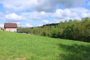 Działka na sprzedaż 3000m2 wielicki Wieliczka Raciborsko - zdjęcie 2