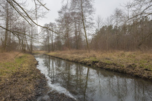 Działka na sprzedaż 1016m2 legionowski Wieliszew Komornica Wspólna - zdjęcie 3