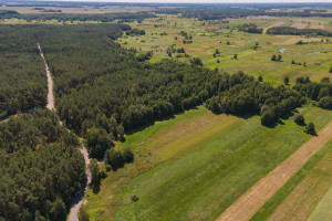 Działka na sprzedaż 2000m2 węgrowski Liw Ossolin - zdjęcie 1